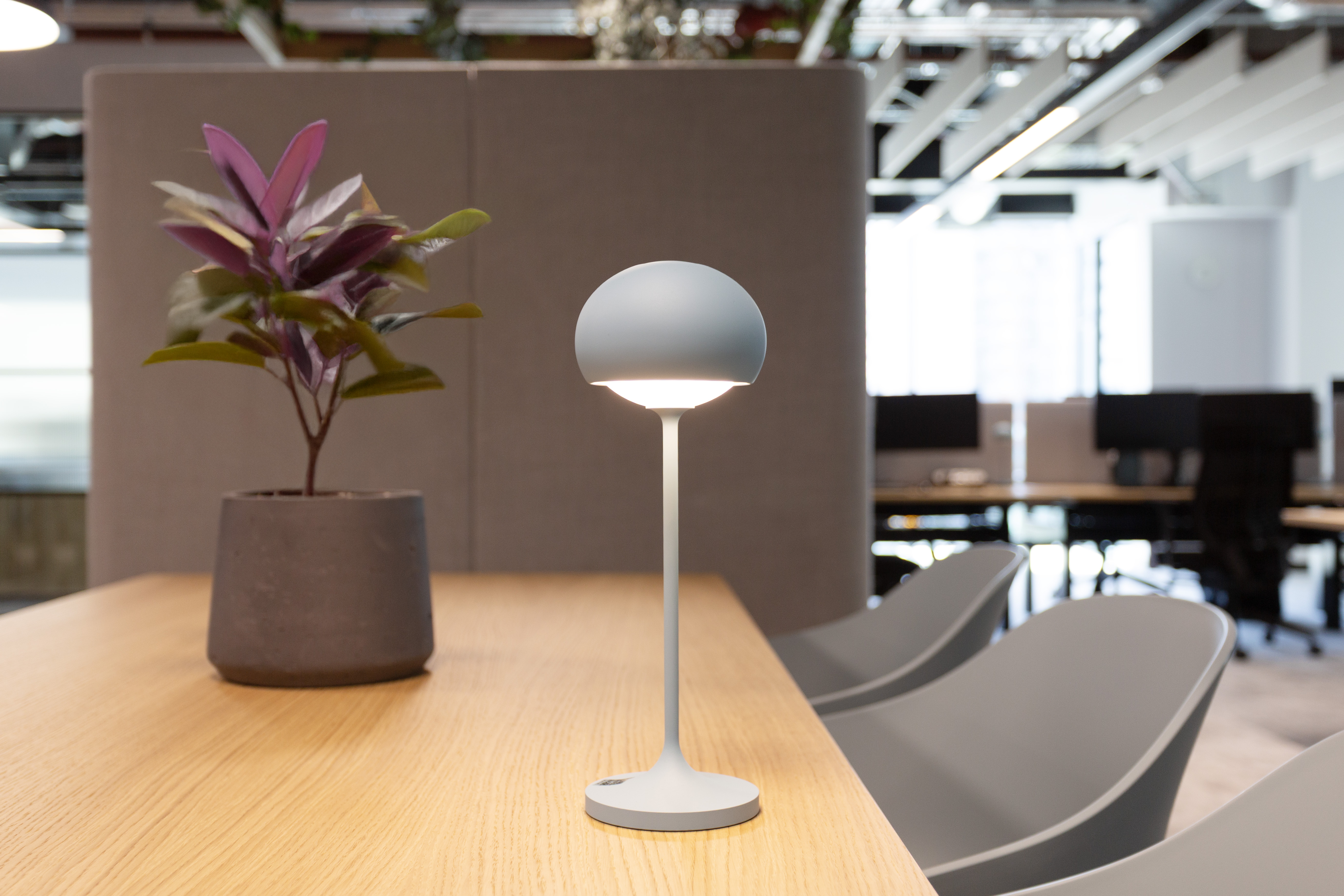 Telehouse MF Design Studio collaboration