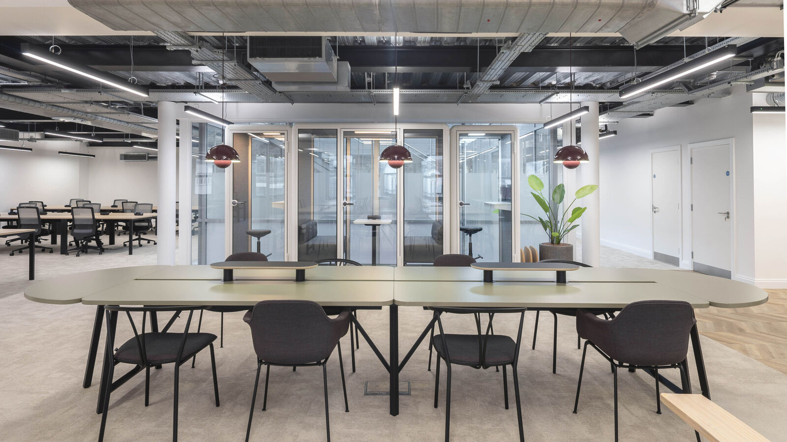 12 Alfred Place image